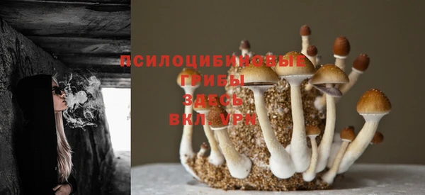 стаф Лиски