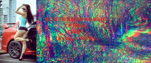 стаф Лиски
