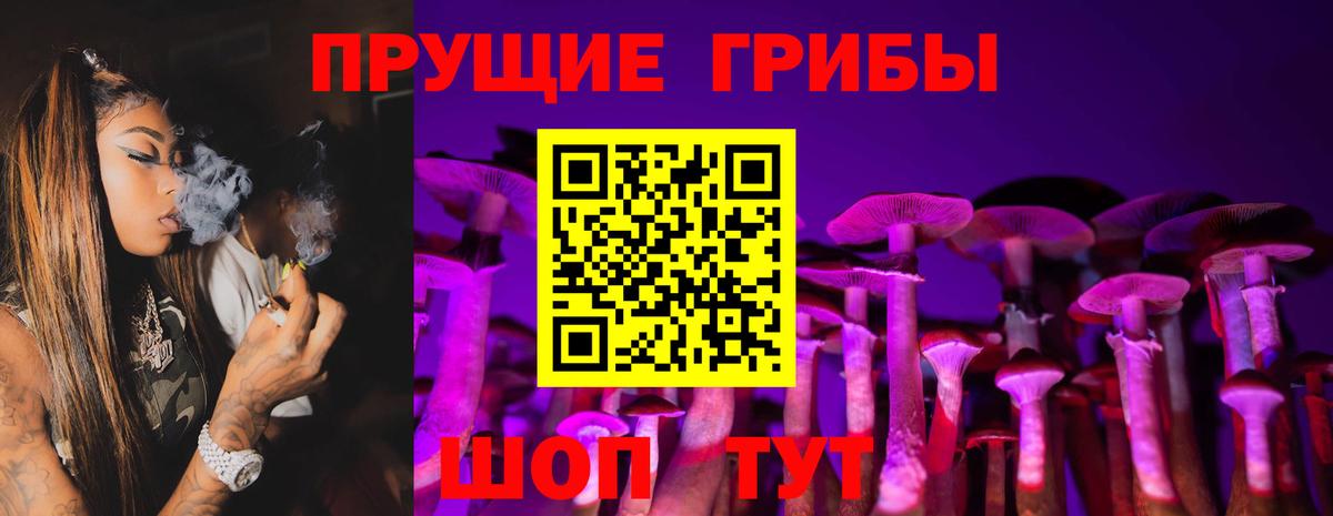Моршанск  Псилоцибиновые грибы Psilocybine cubensis  цены наркотик  Вход с VPN 