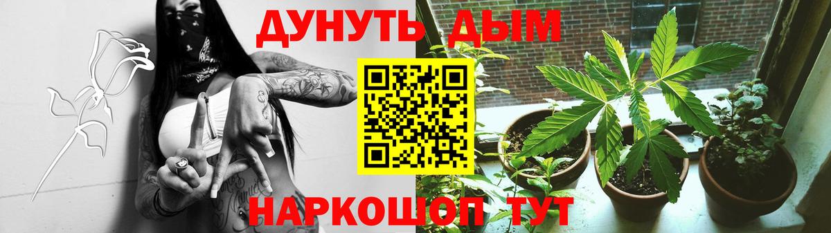 Бошки Шишки White Widow Моршанск